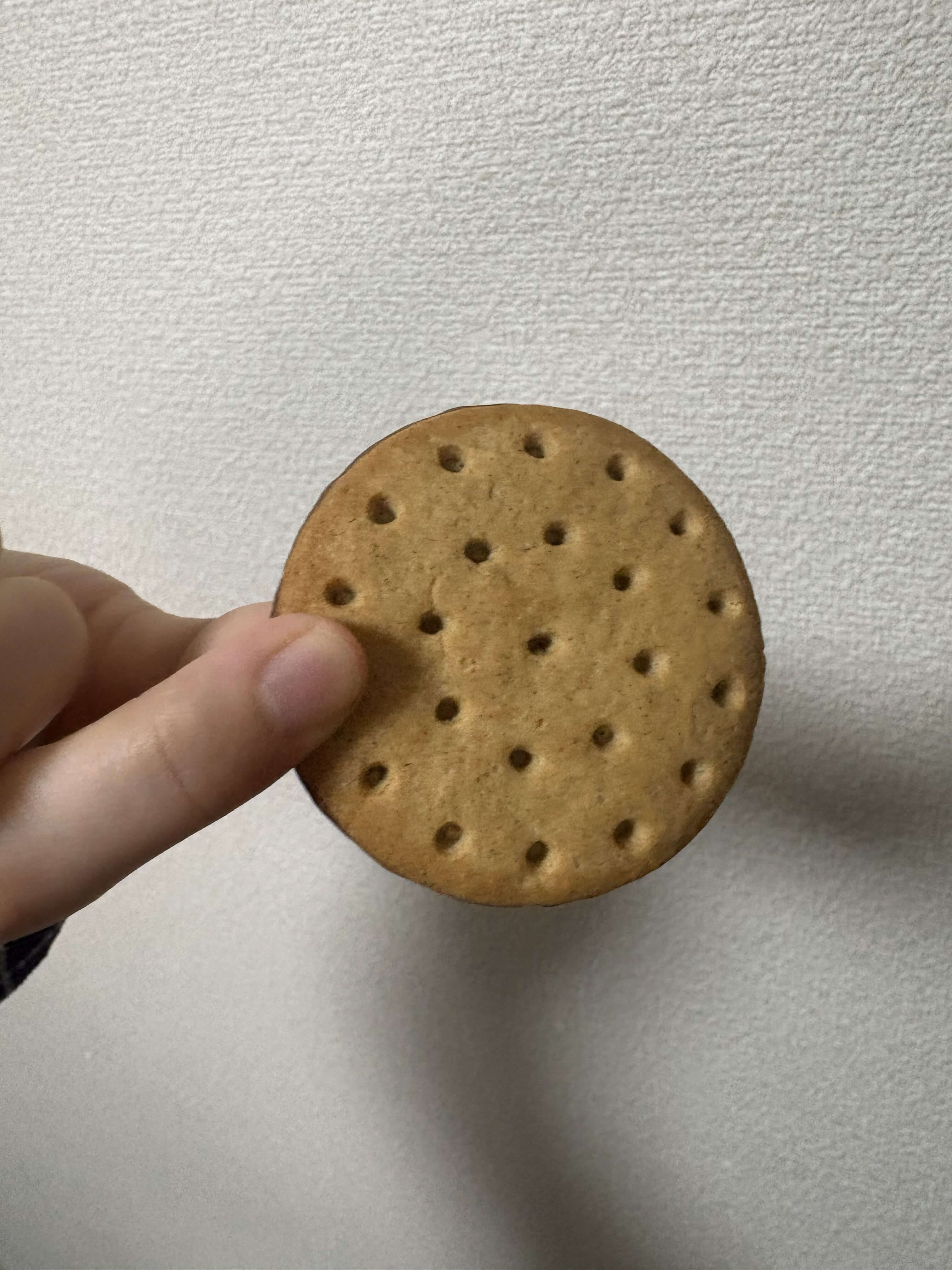 チョコか？WITH BISCUIT